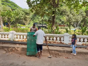 Million People, Million Trees
