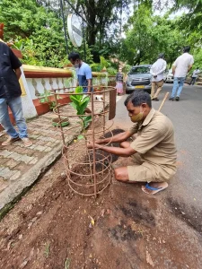 Million People, Million Trees