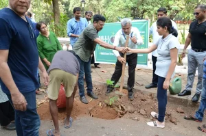 Million People, Million Trees