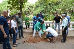 Million People, Million Trees