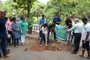 Million People, Million Trees