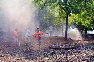 Divar residents get togther to clean up the park