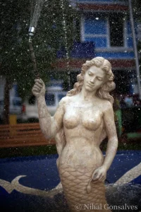 Mermaid Garden and Other Projects