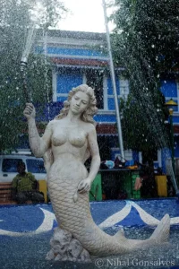 Mermaid Garden and Other Projects
