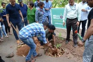 Million People, Million Trees
