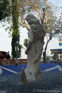 Mermaid Garden and Other Projects