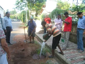 helpers watering the saplings