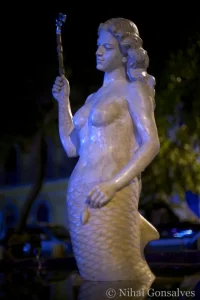 Mermaid Garden and Other Projects