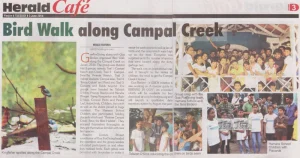 3rd June 2014, Herald Cafe Bird Walk