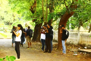 Bird Walk and Photo walk took place on the same day. This is one of the photographs!. This is one of the photographs!