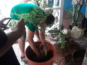Workshop on planting trees with Karan Manral