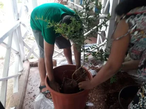 Workshop on planting trees with Karan Manral