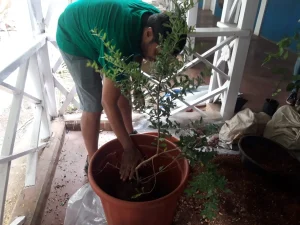 Workshop on planting trees with Karan Manral