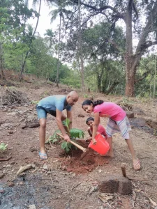 Tree plantation at various school