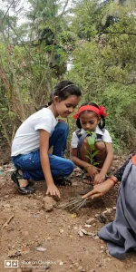 Tree plantation at various school