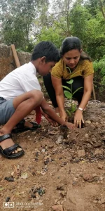 Tree plantation at various school