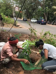 Tree plantation at various school