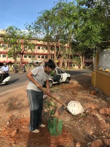 Tree plantation at various school