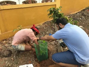 Tree plantation at various school