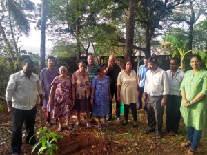 Tree plantation at various school
