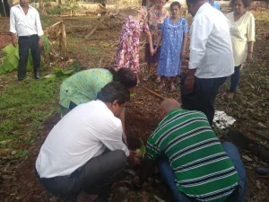 Tree plantation at various school