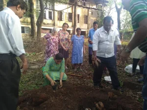 Tree plantation at various school