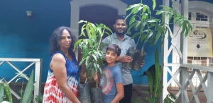 Tree plantation at various school