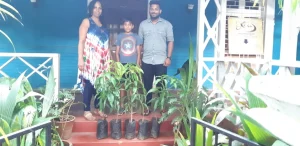 Tree plantation at various school