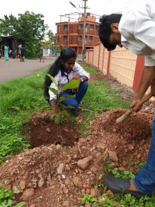 Tree plantation at various school