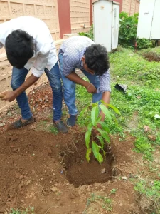 Tree plantation at various school