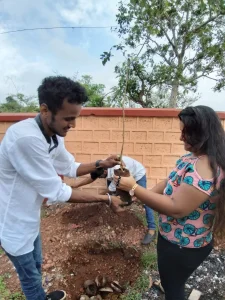 Tree plantation at various school