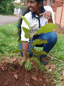 Tree plantation at various school