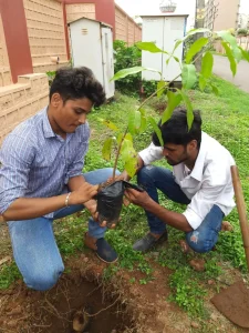 Tree plantation at various school