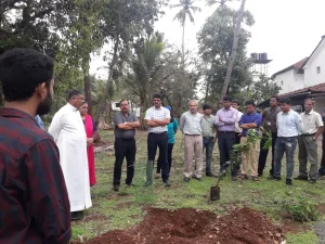 Tree plantation at various school