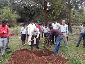 Tree plantation at various school