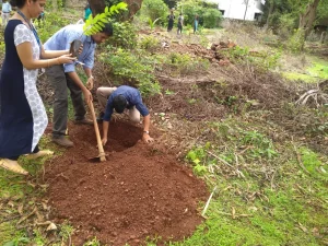 Tree plantation at various school