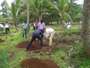 Tree plantation at various school