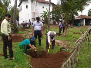 Tree plantation at various school