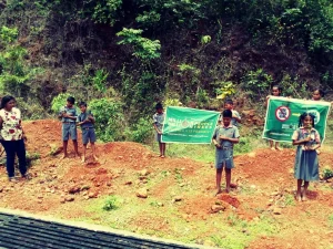 Tree plantation at various school