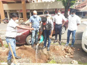 Tree plantation on 18th June  Road