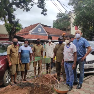 Tree plantation on 18th June  Road