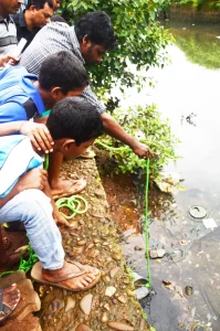 Environmental Health Programme