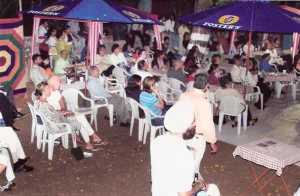 the crowd watching the band perform